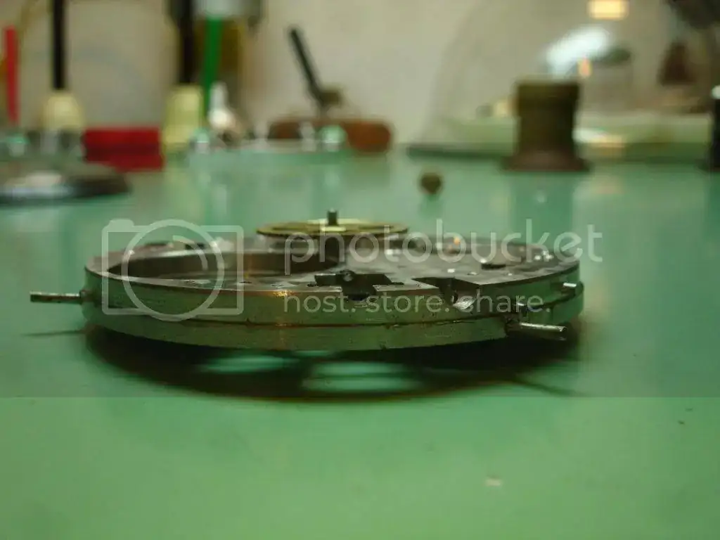 DSC02575_zpsa43d53dc.webp