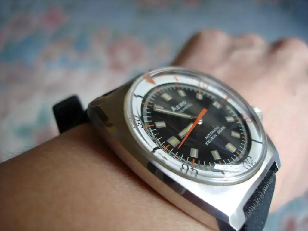 DSC02589.webp