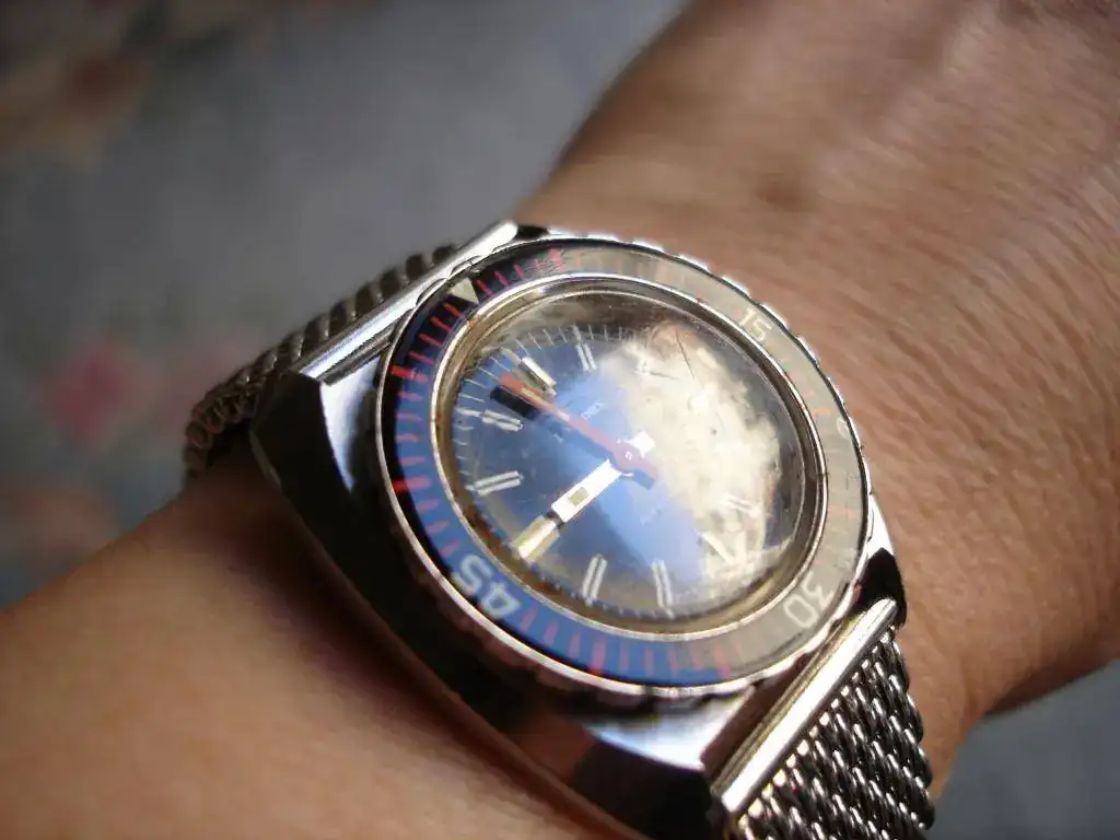 DSC02646.webp