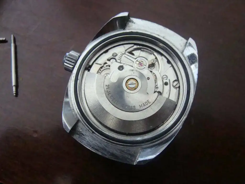DSC02705.webp