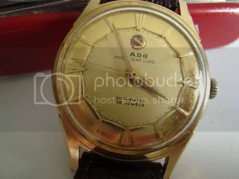 DSC02880.webp