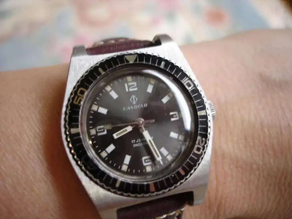 DSC02969.webp