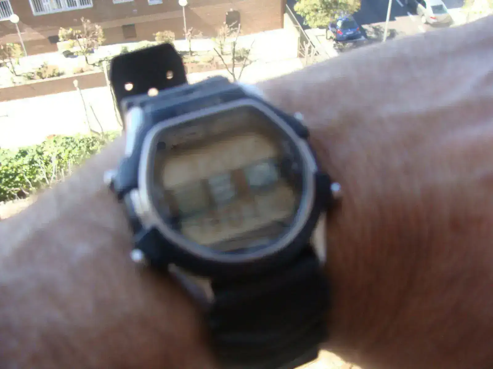 DSC03075.webp