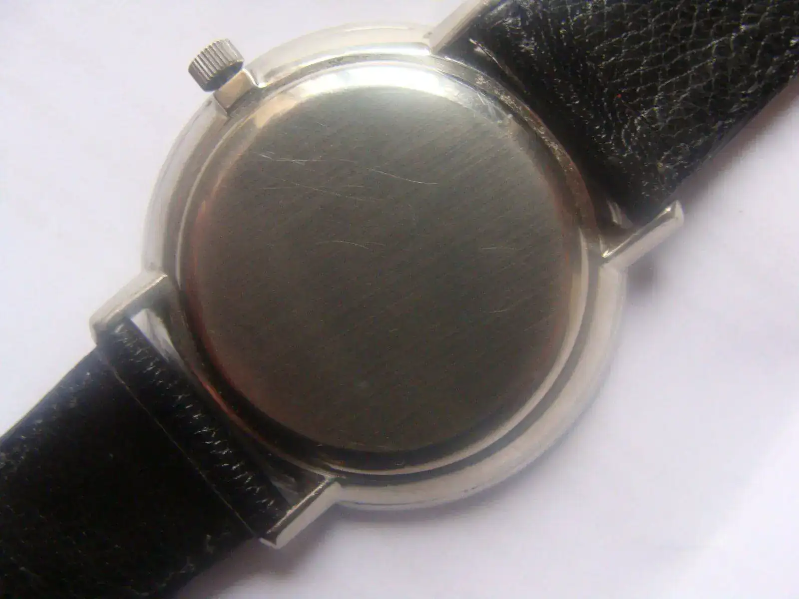 DSC03094.webp