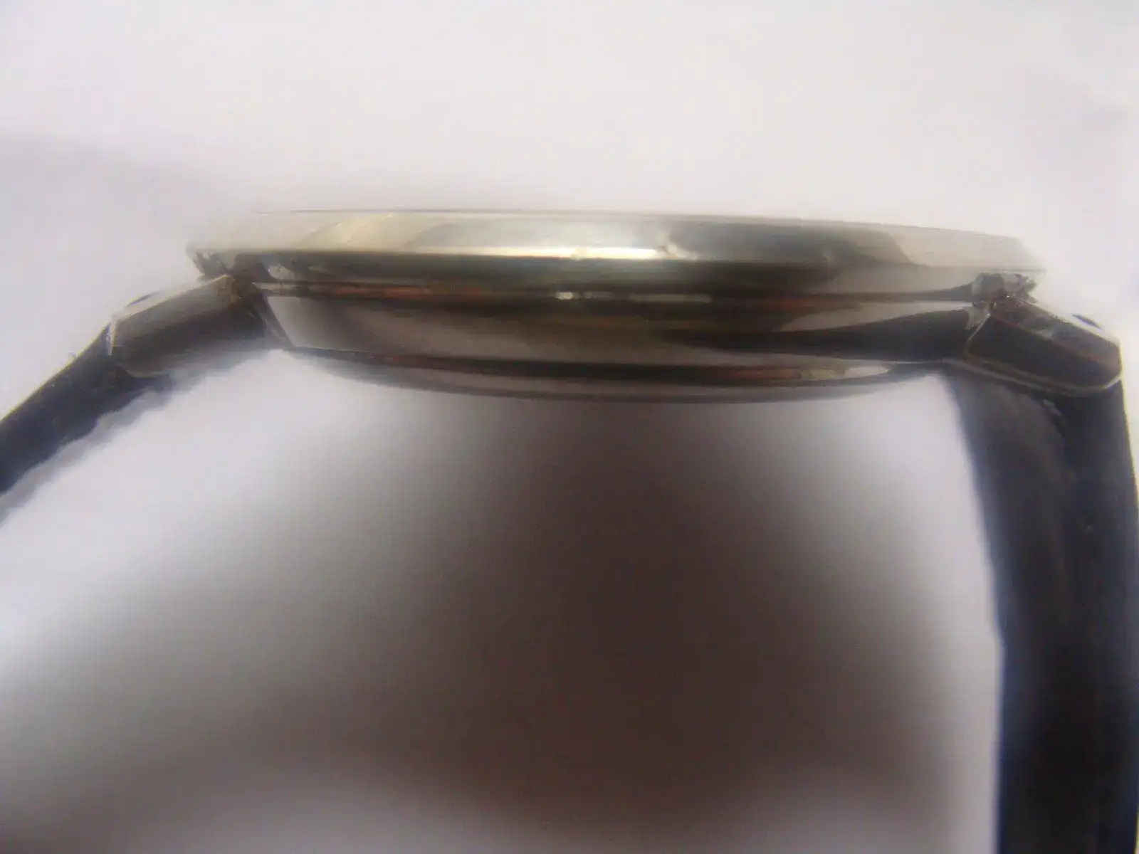 DSC03095.webp