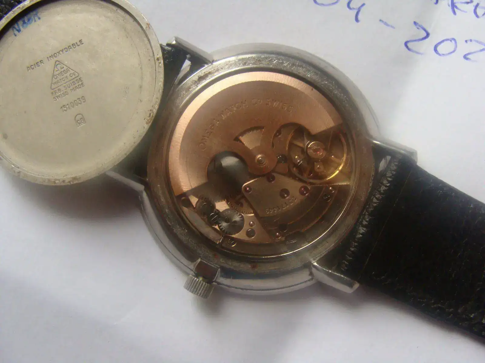 DSC03099.webp
