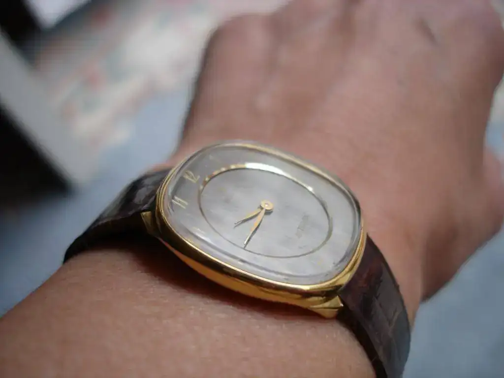 DSC03149.webp