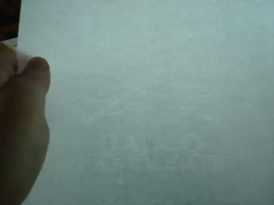 DSC03285.webp