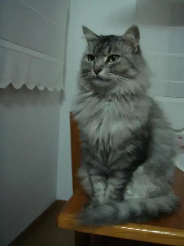 DSC03353.webp