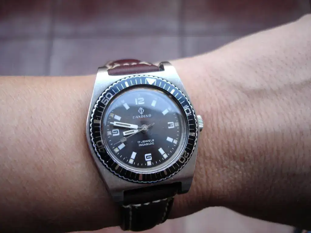 DSC03748.webp