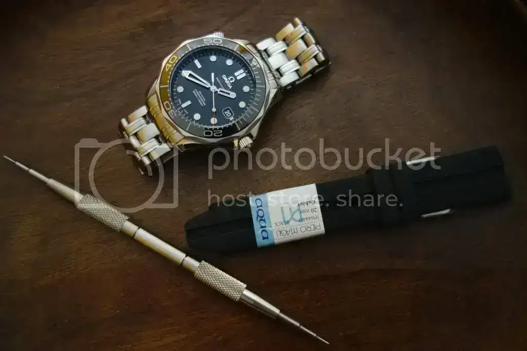 DSC03904_zpsa8e5b4e0.webp