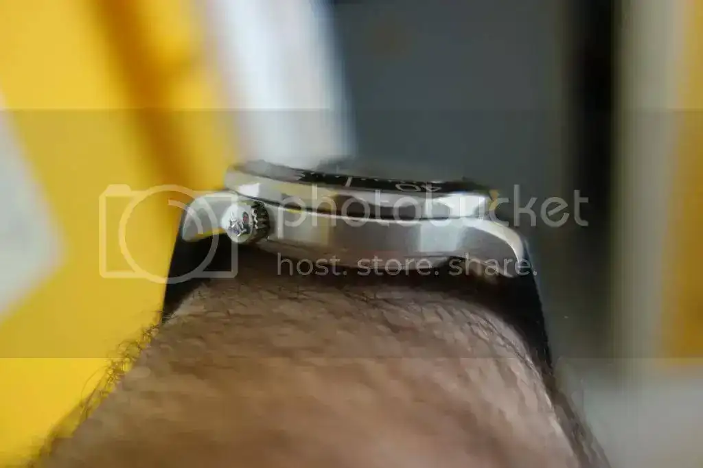 DSC03912_zps77fd4125.webp
