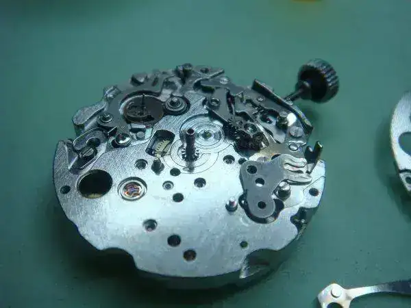 dsc04097v.webp