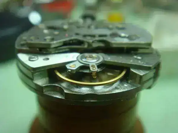 dsc04111z.webp