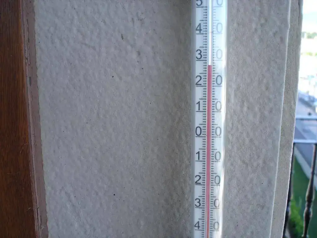 DSC04150.webp