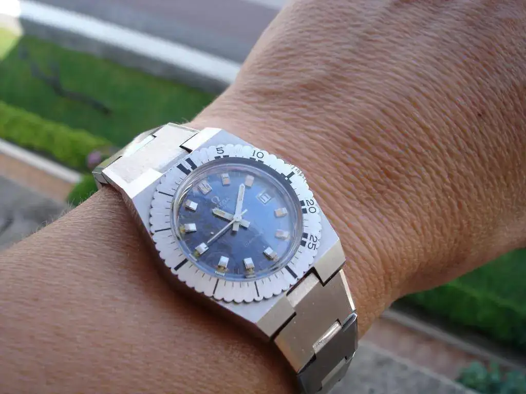 DSC04257.webp