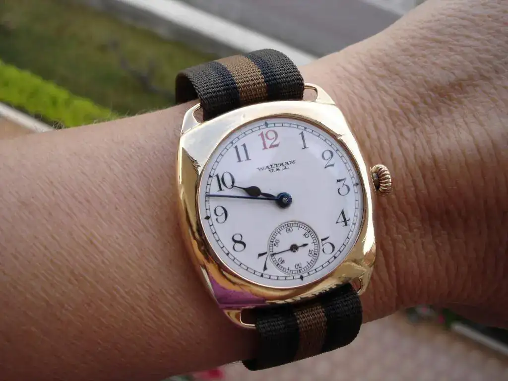 DSC04522.webp