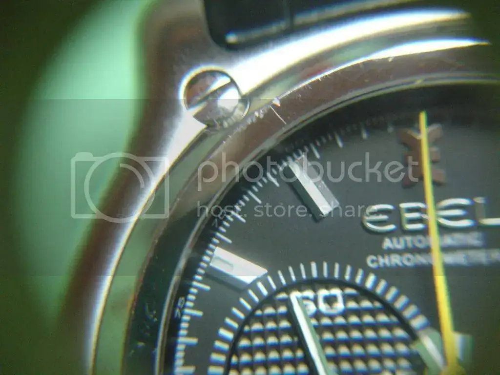 DSC05102_zpsq3xzcnqf.webp