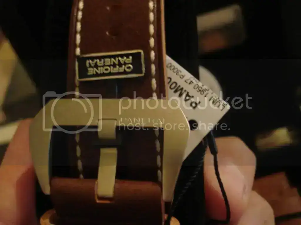 DSC05238.webp