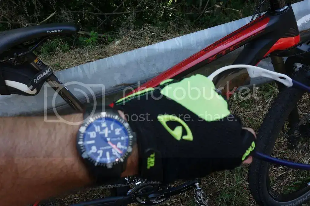 DSC05263_zpsfsvsag8k.webp