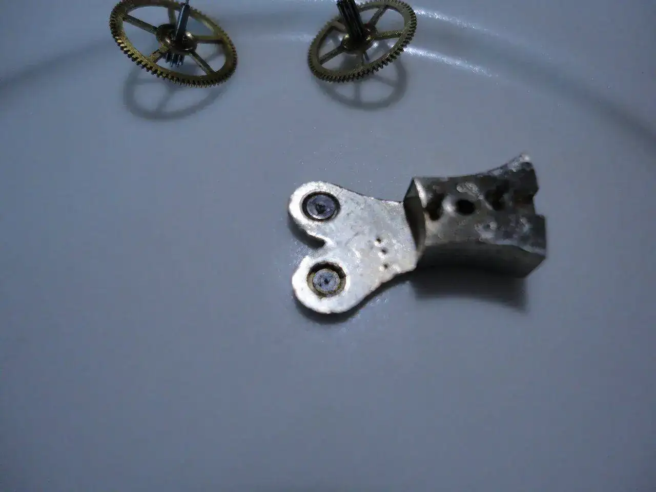 DSC05356.JPG