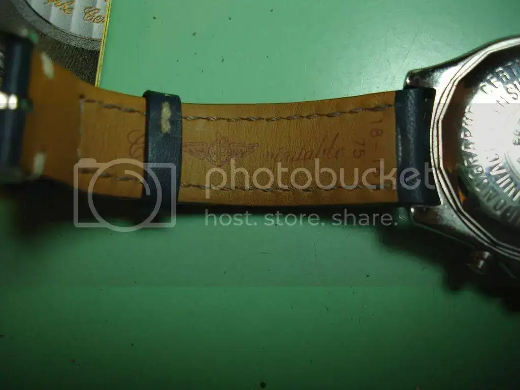 DSC05942_zpsad8bnqpl.webp