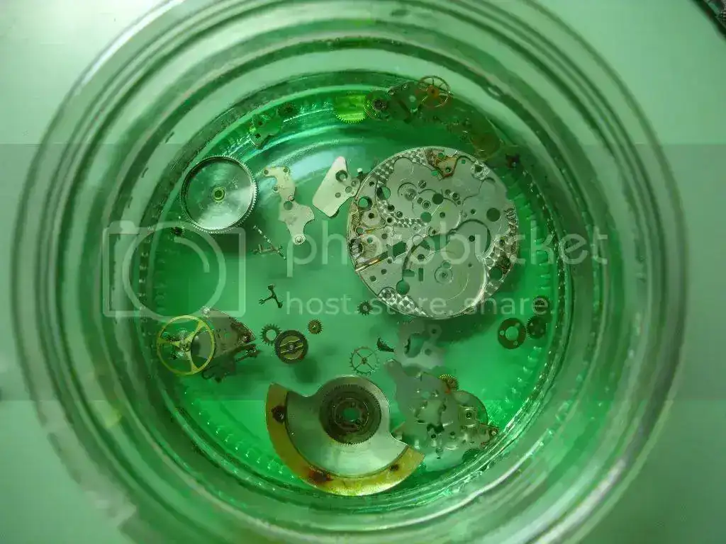 DSC06002.webp