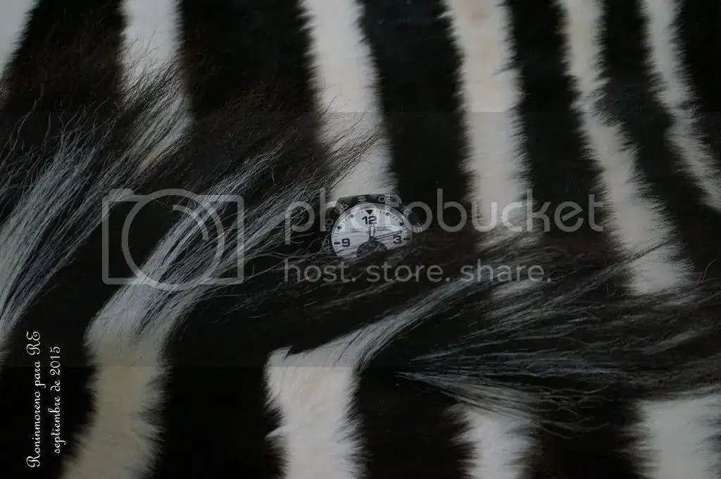 DSC06654_zpsbgt4dwrg.webp