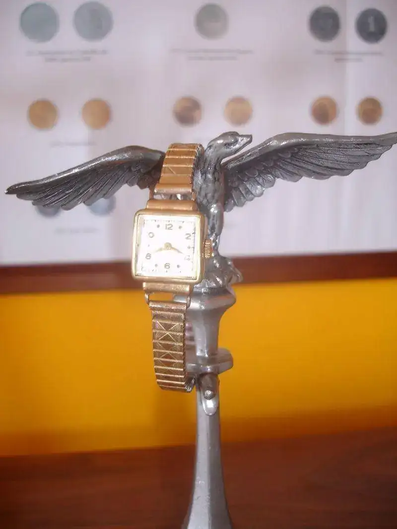 dsc07236.webp