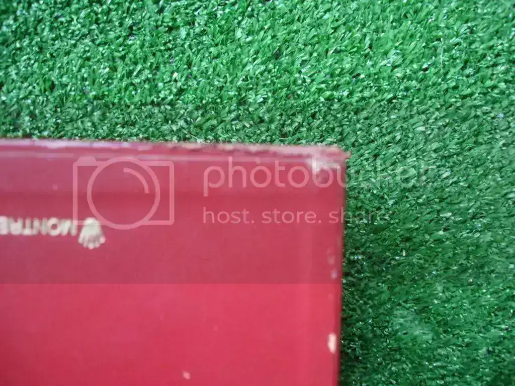 DSC07303.webp