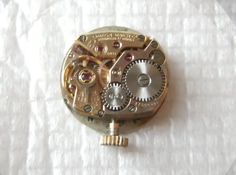 dsc07612.webp