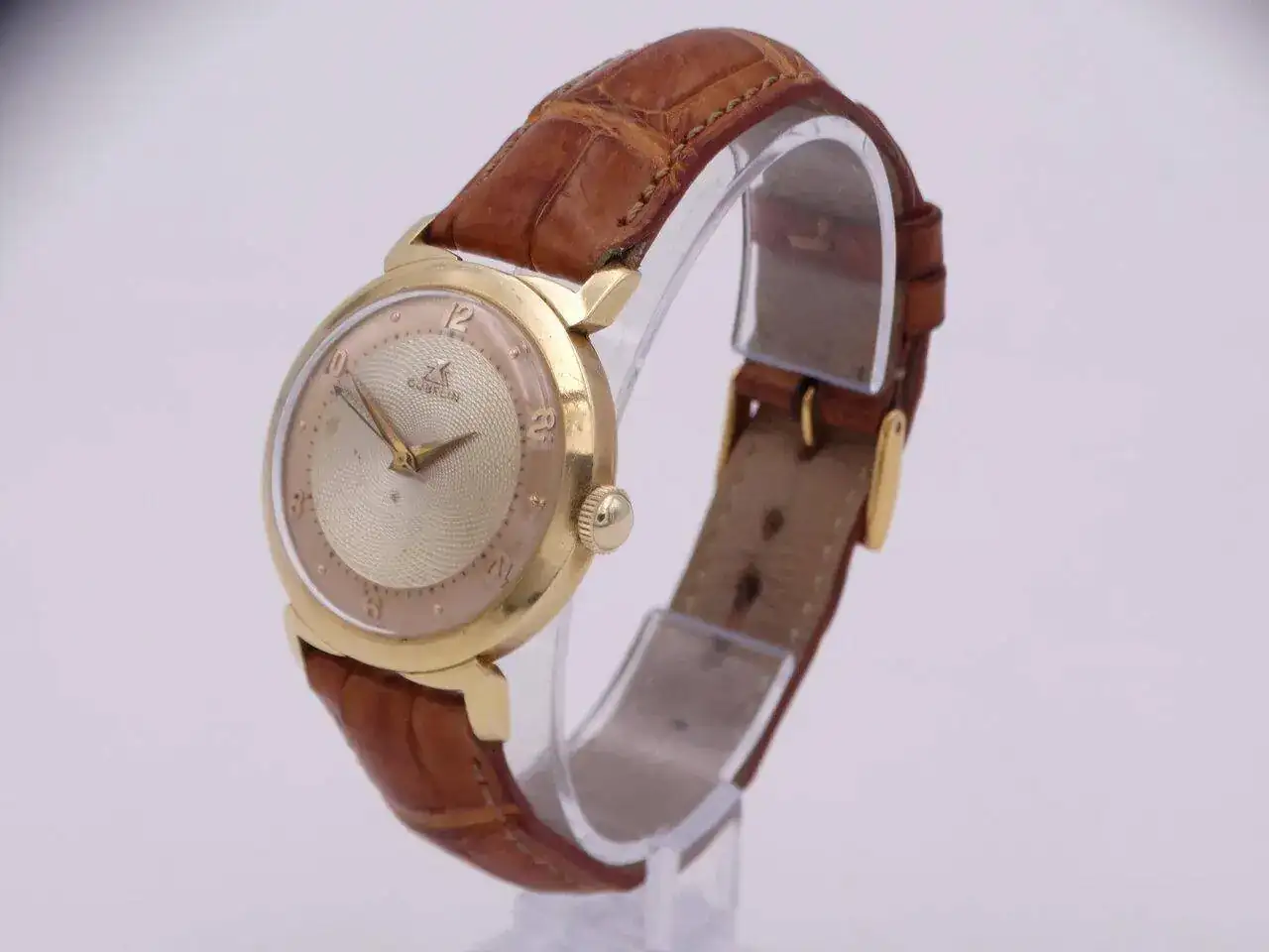 DSC08412.webp