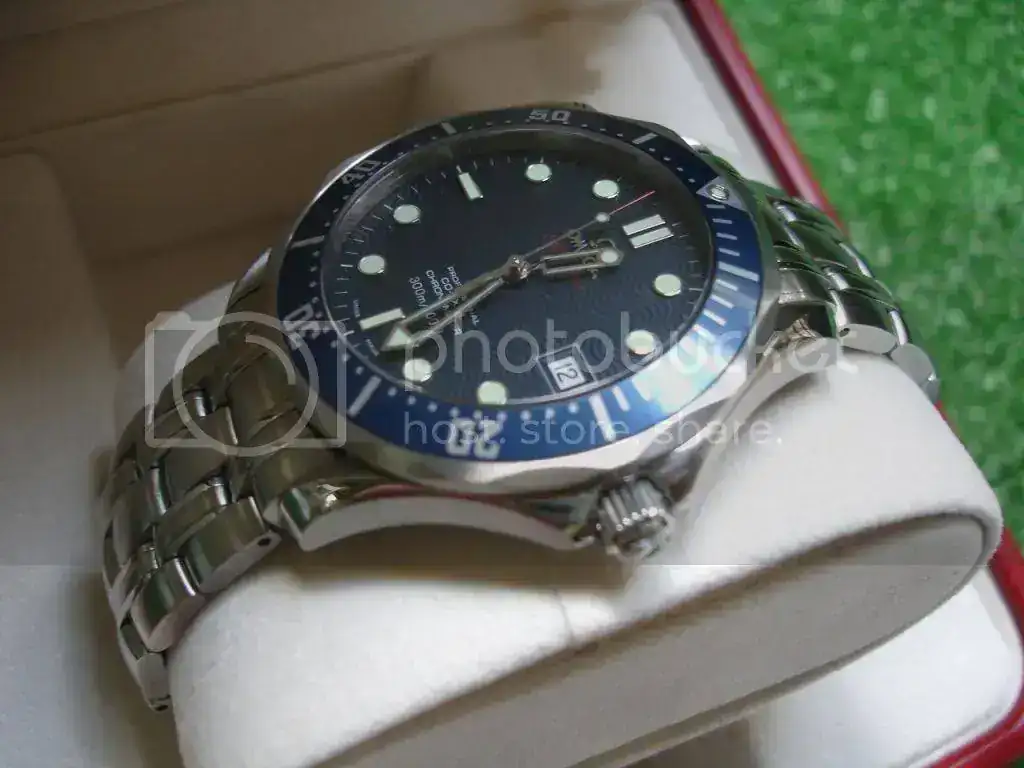 DSC08414.webp