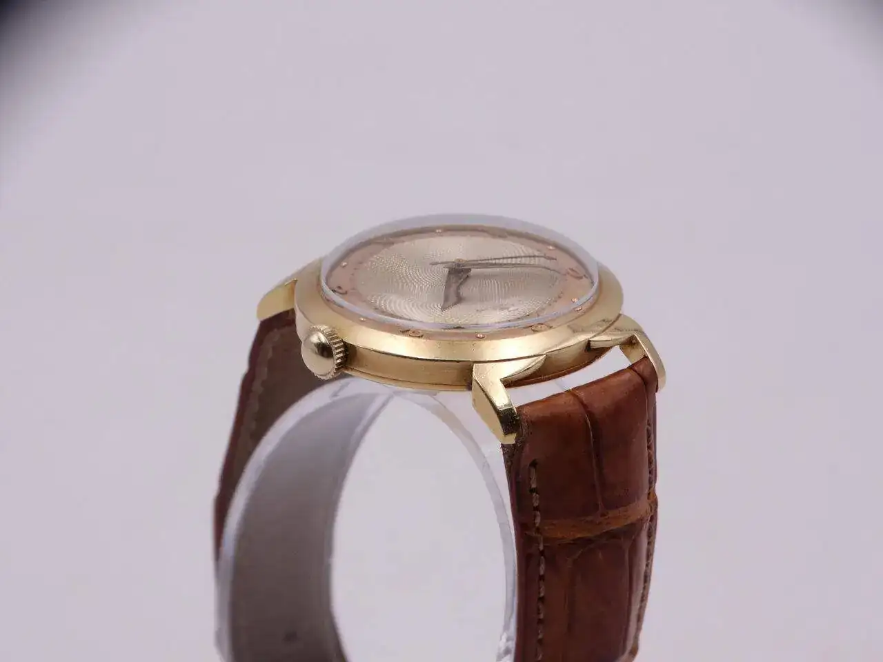 DSC08421.webp