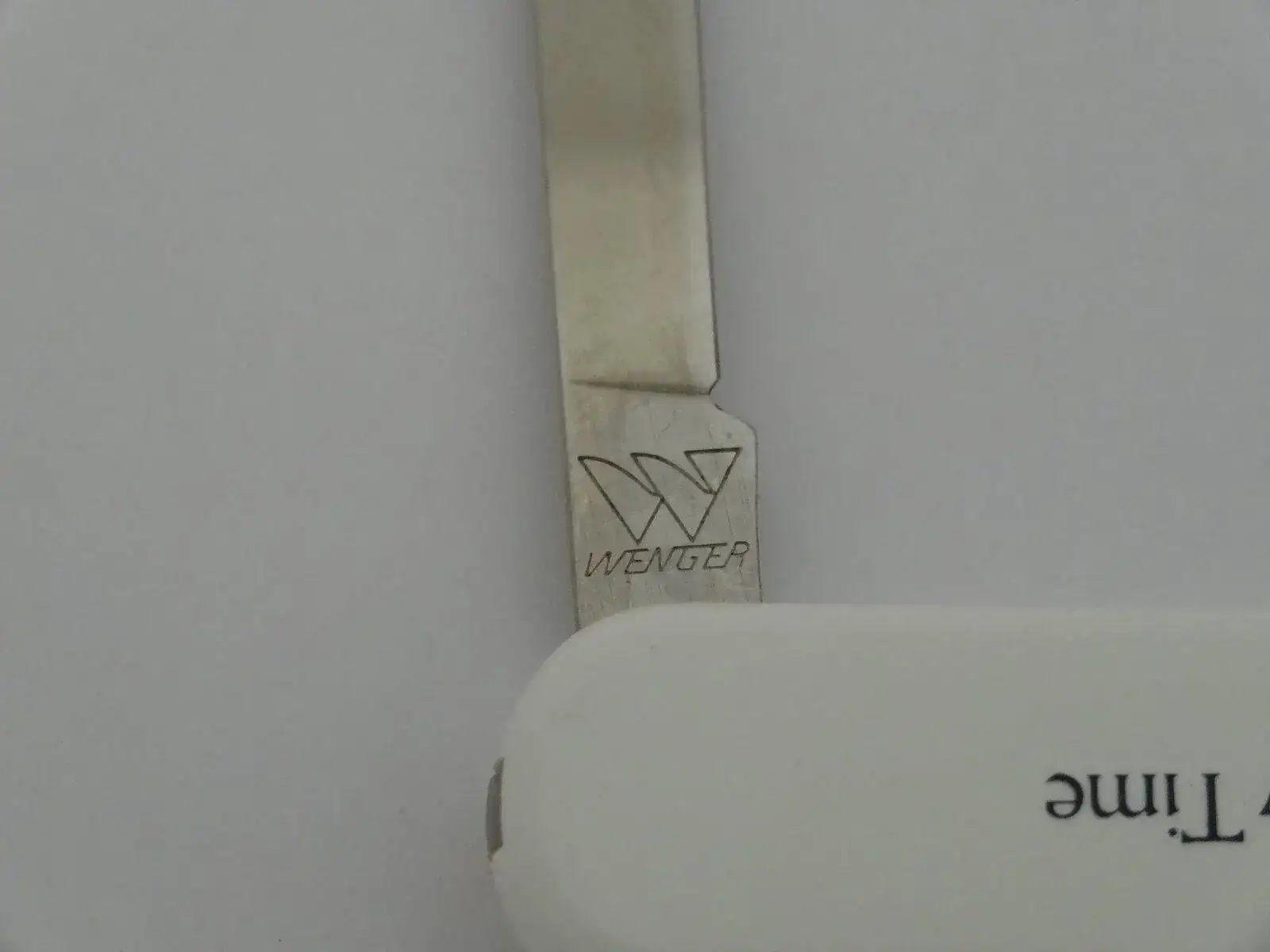 DSC08500.webp