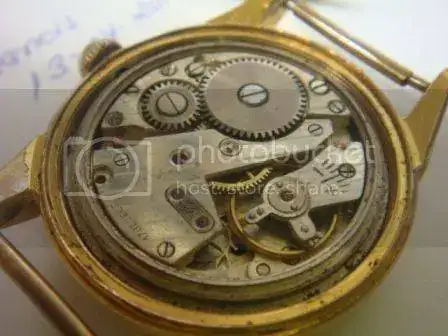 DSC08519_zpsrqx22ocj.webp