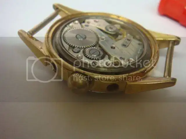 DSC08522_zpsr1pysrxm.webp
