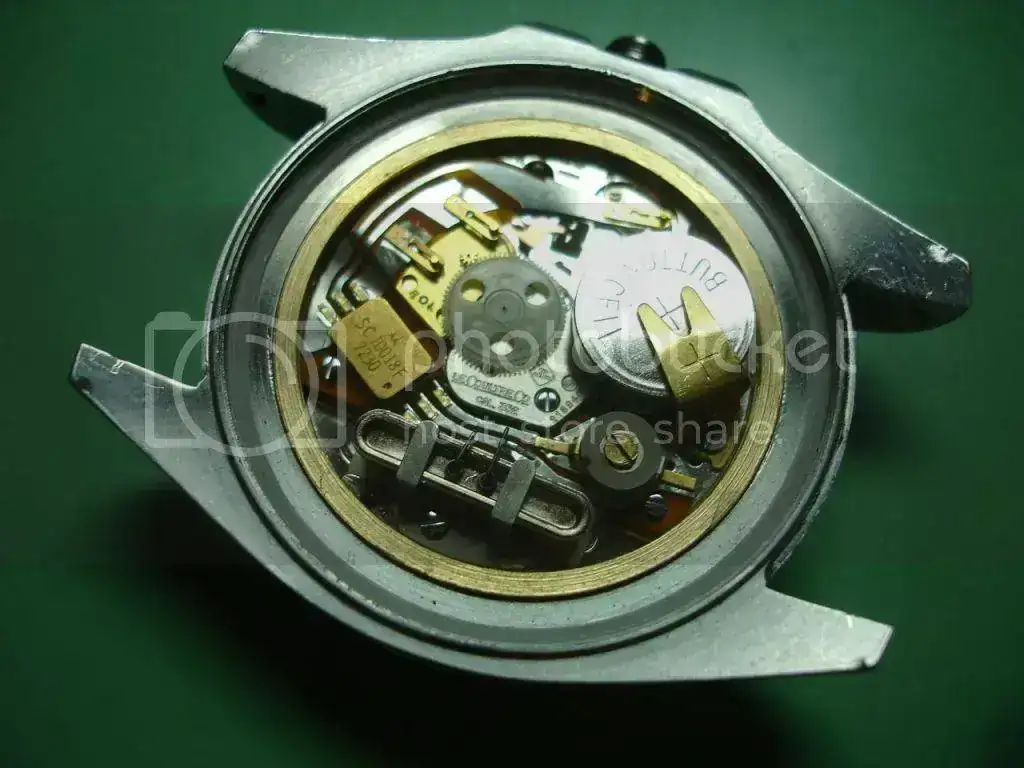 DSC08690.webp