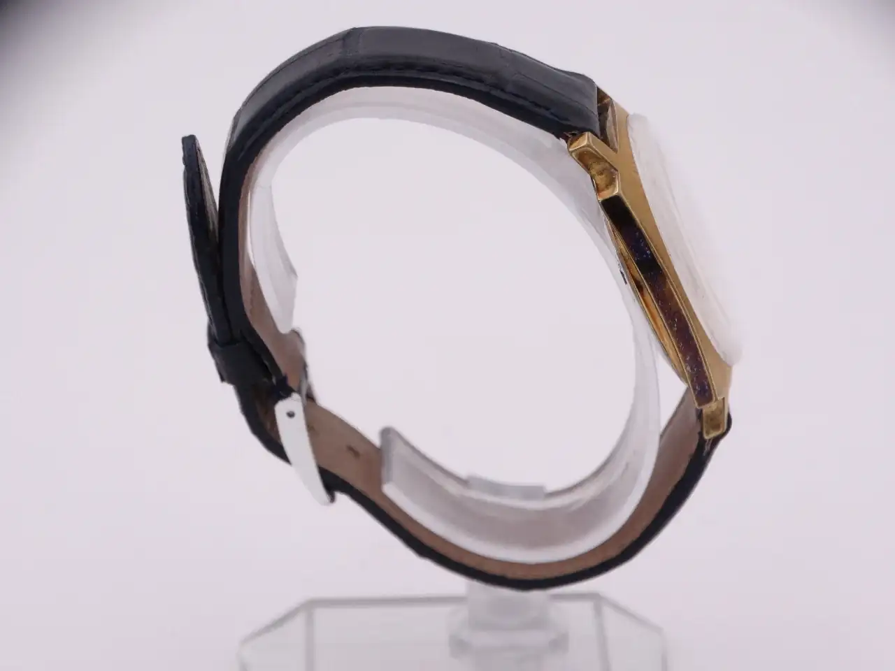 DSC09231.webp