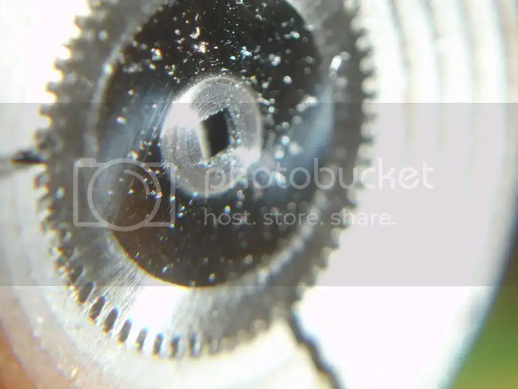 DSC09242_zpsbd2d8b8d.webp