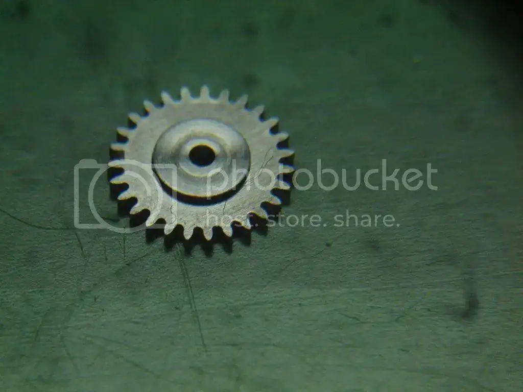 DSC09264_zps1cc032a4.webp