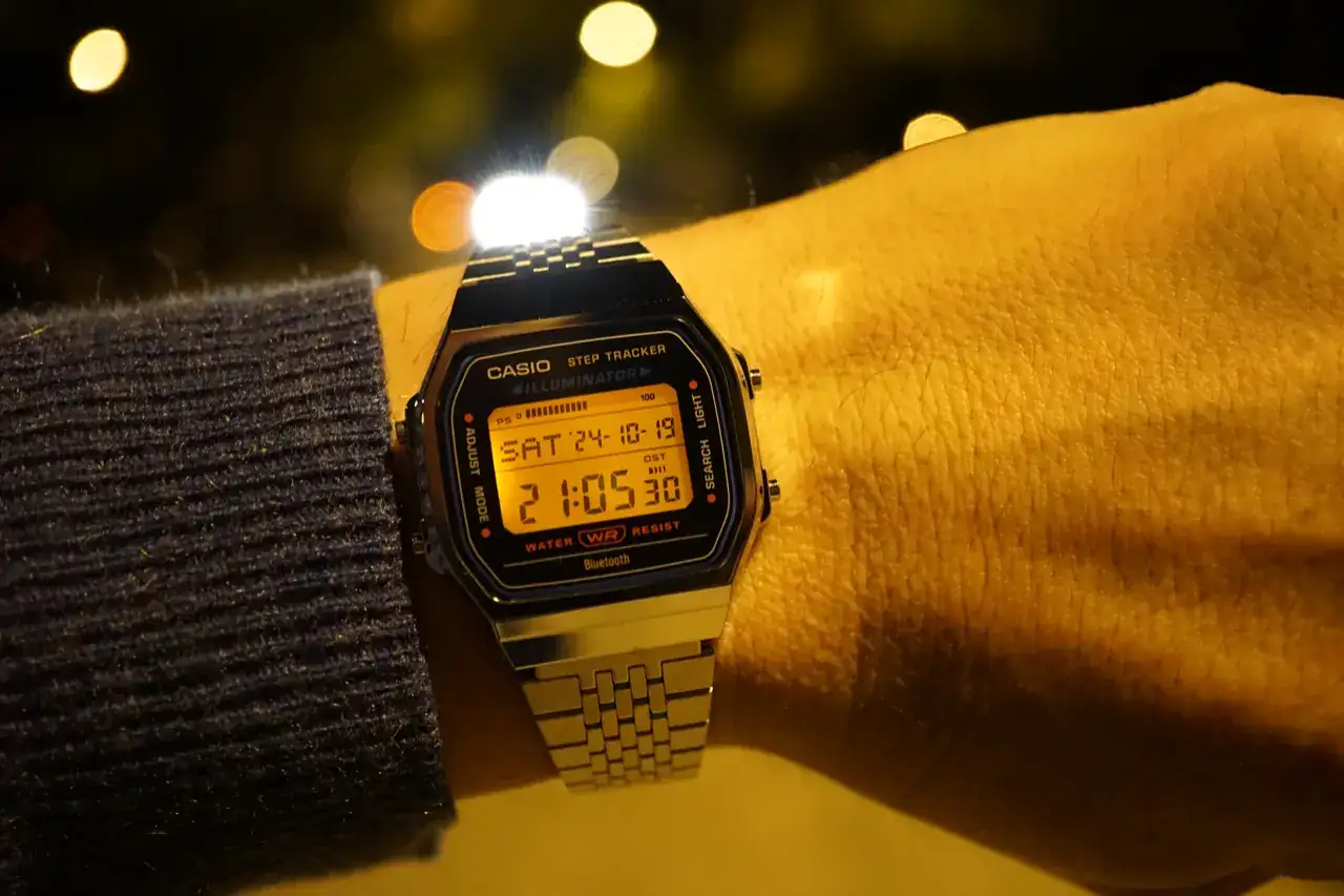 DSC09437.webp