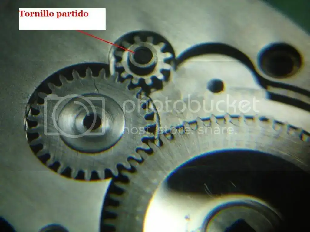 DSC094682_zps5f5dc38e.webp