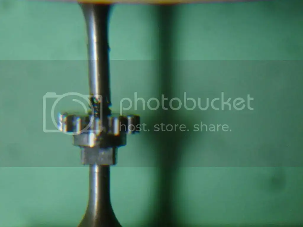 DSC09496_zps45a99f44.webp