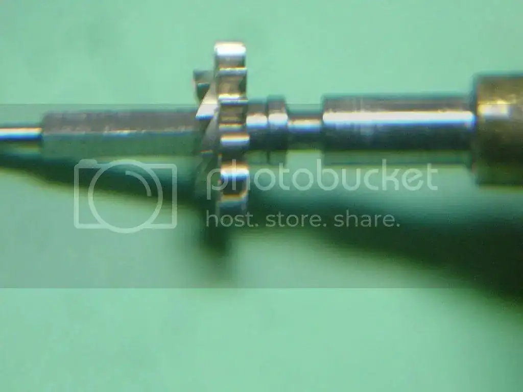 DSC09603_zps3b89bcb7.webp