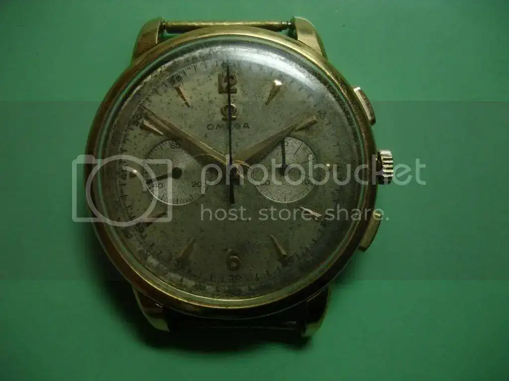 DSC09650_zps49524c8f.webp