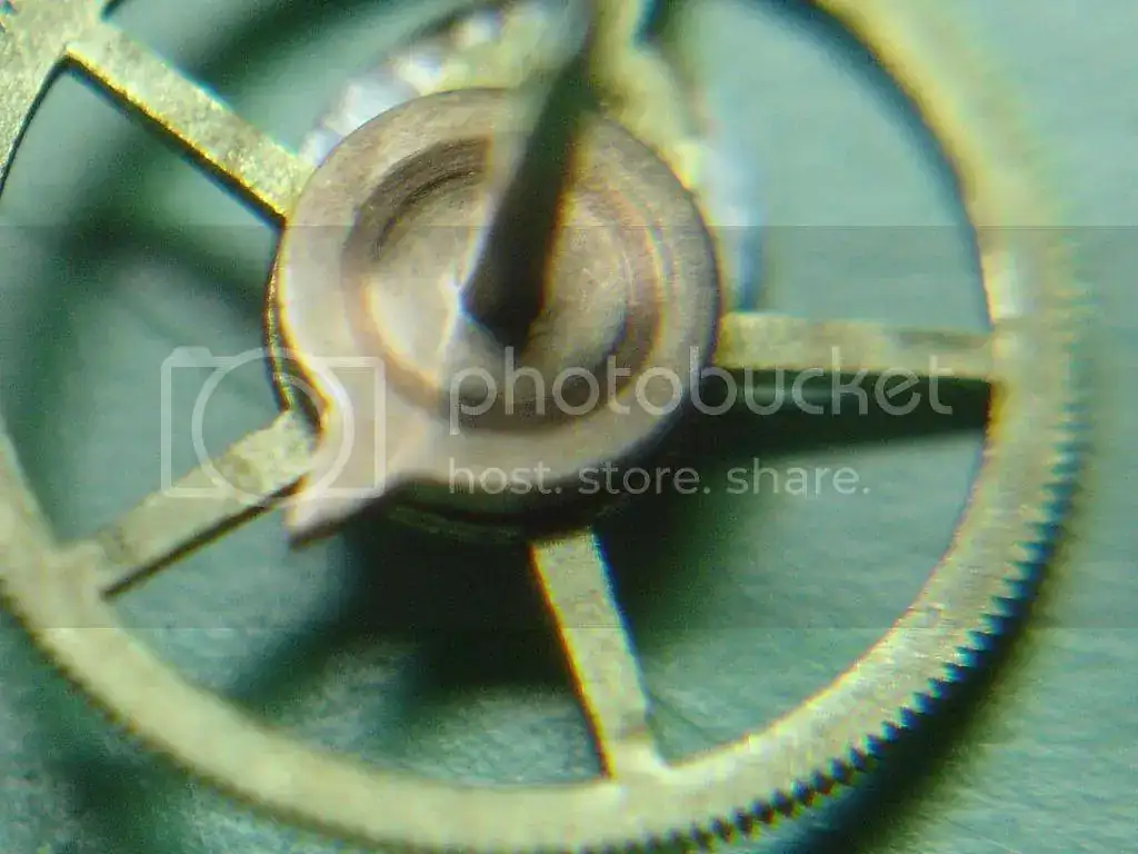DSC09824_zpsaedba1ef.webp