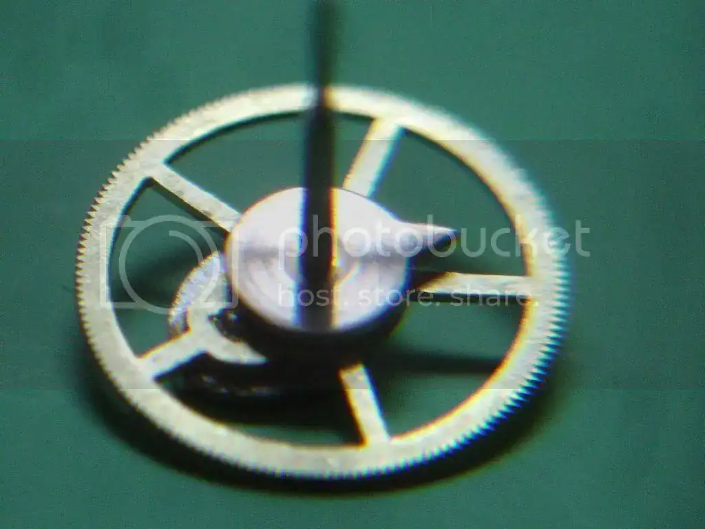 DSC09830_zps8e28de02.webp