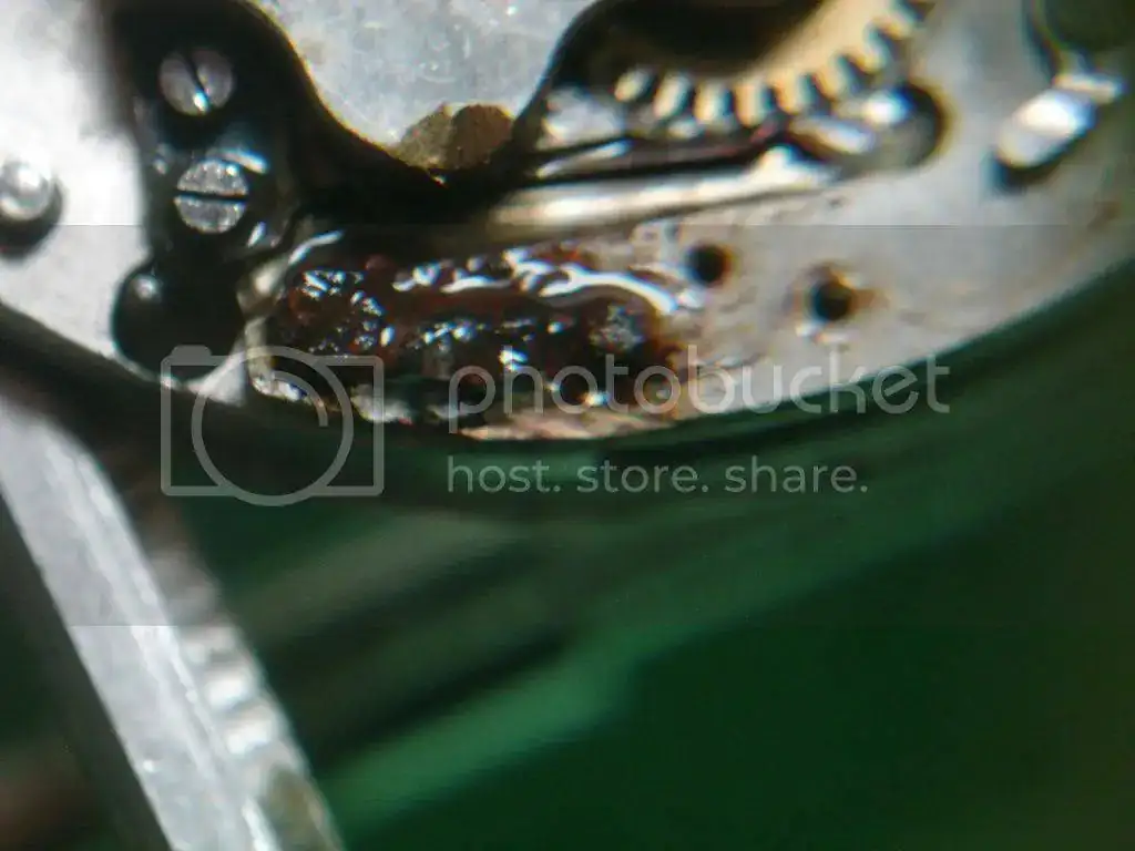DSC09899_zpse3e1e002.webp