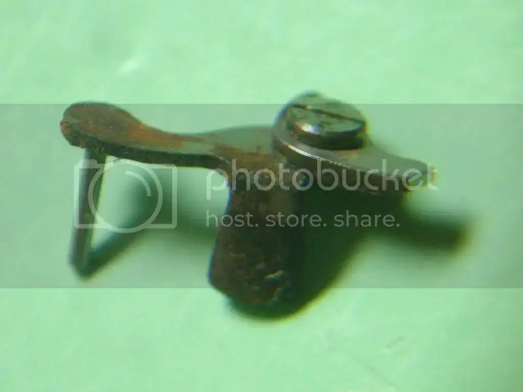 DSC09923_zps92a6f4af.webp